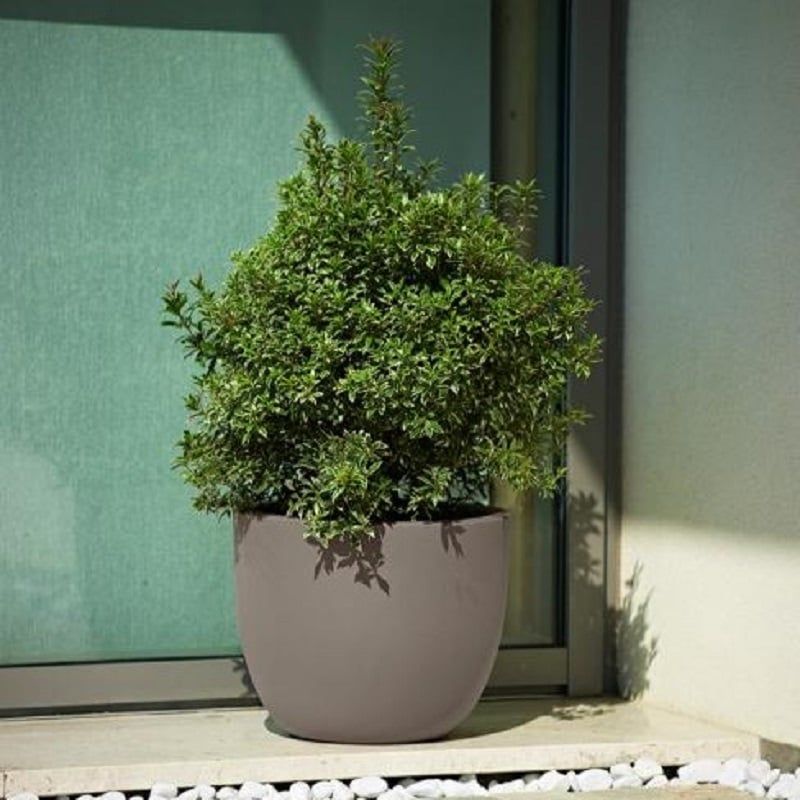 EURO3PLAST - Macetero doble pared Etria, diámetro 54 cm, 56 litros.