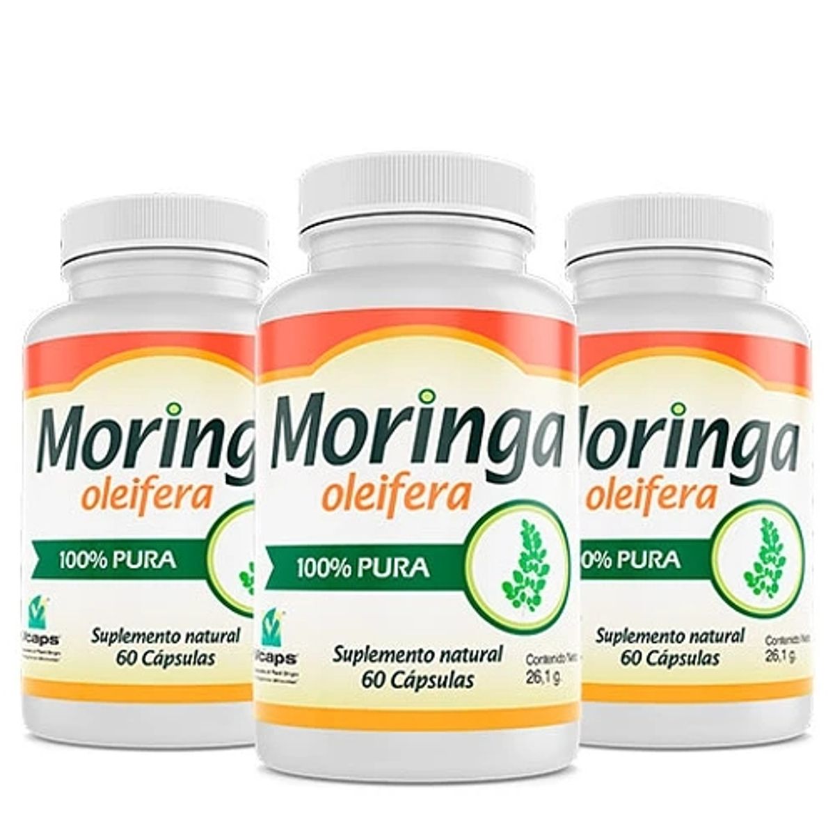 TERRASANA - PROMOCIÓN 3 MORINGA OLEIFERA El árbol milagroso