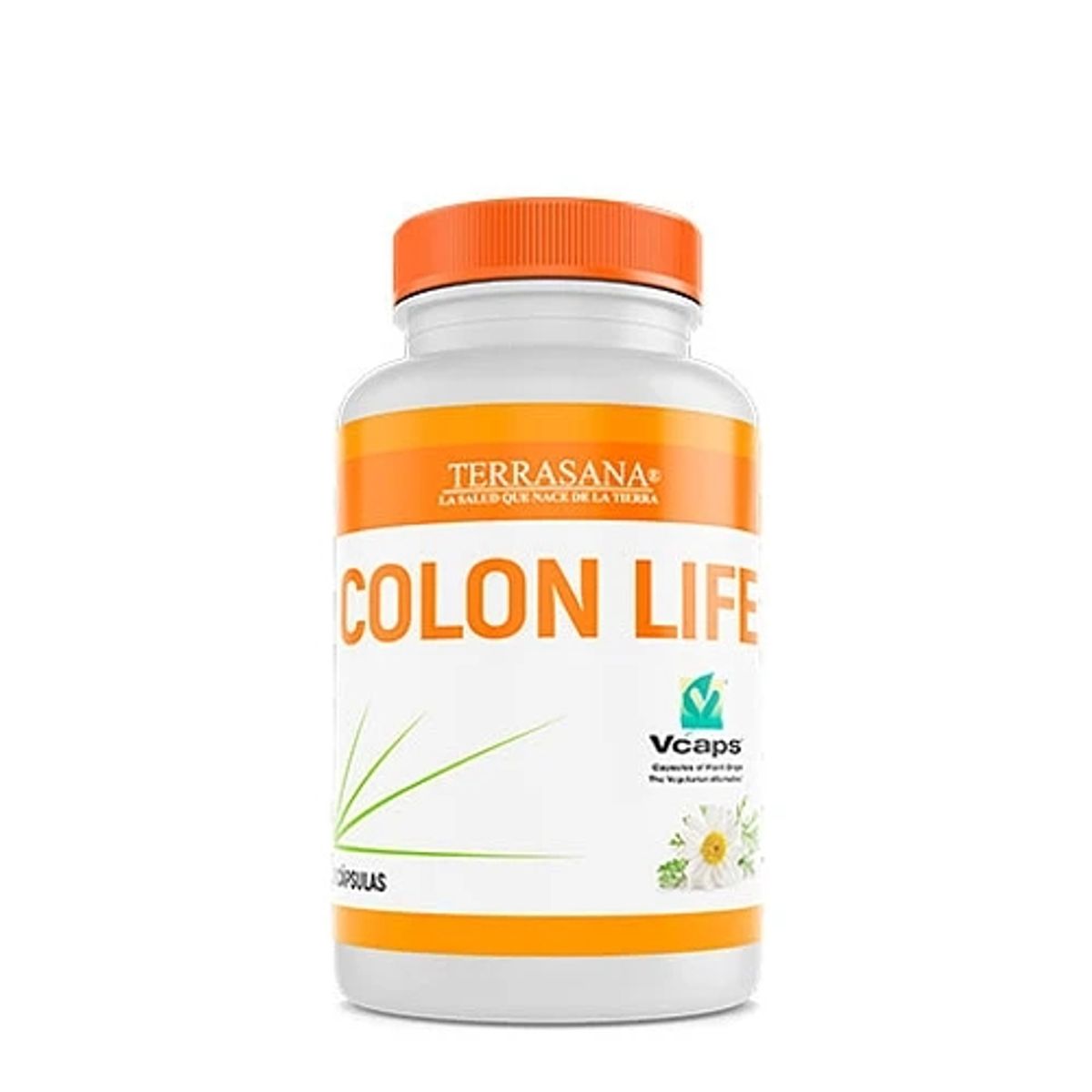 TERRASANA - COLON LIFE Alivia malestares gastrointestinales y colon irritable
