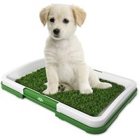 Baño Educador Ecológico Para Perros PuppyPottyPad