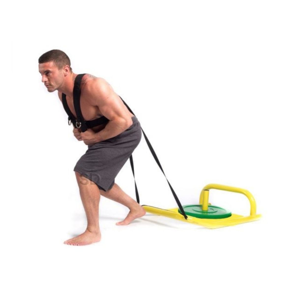 SDFIT - Trineo de arrastre para discos con tubos elásticos y arnés