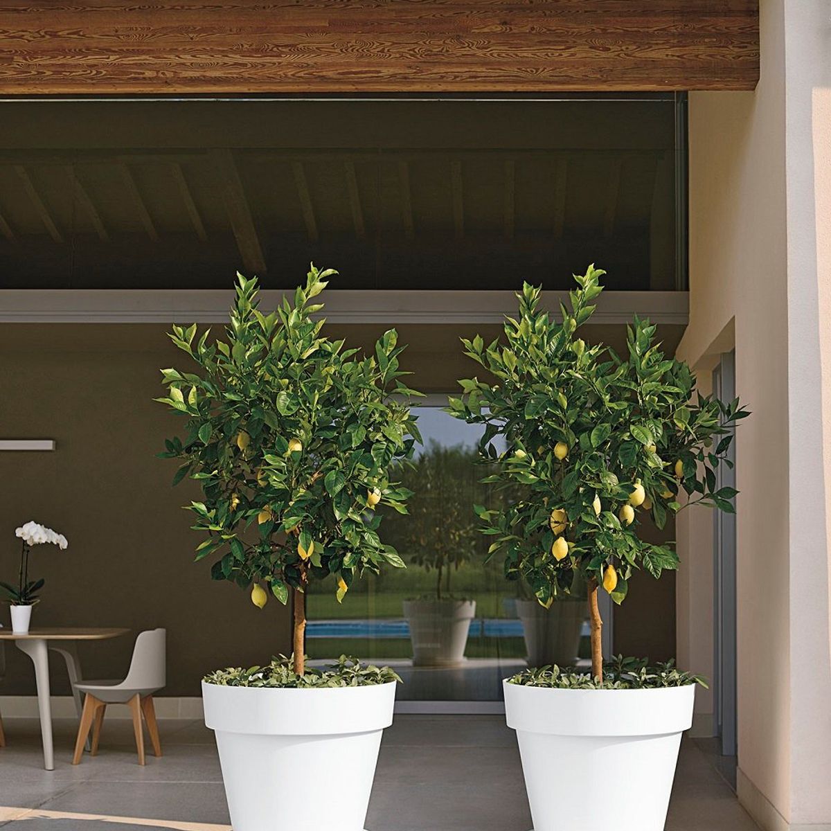 EURO3PLAST - Macetero de plástico con plato 60x54 cm color Blanco