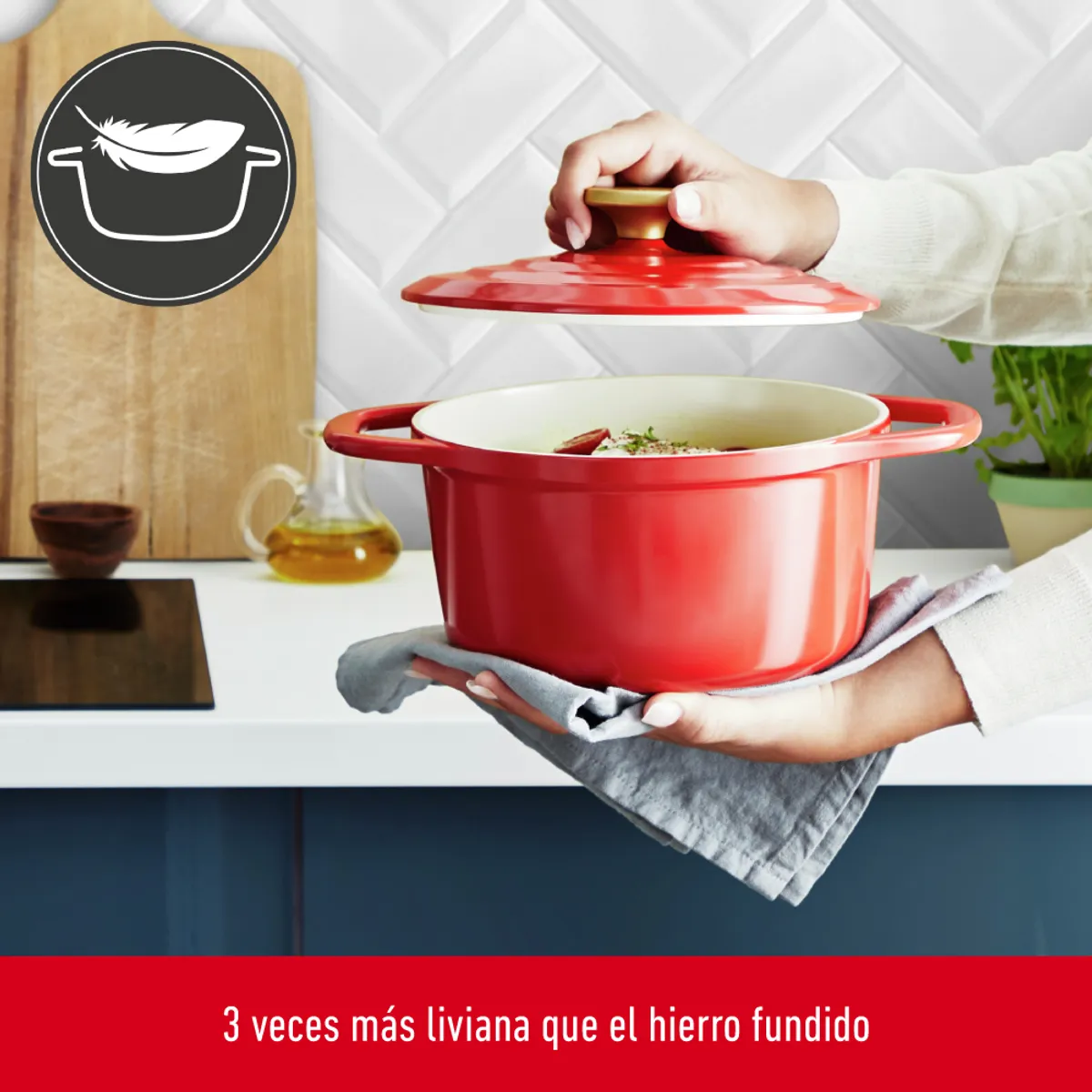 TEFAL - Olla Cocotte Air 20 cm