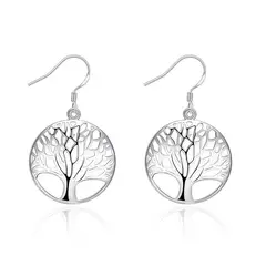 BLWOENS - Aros bañados en Plata 925 para mujer