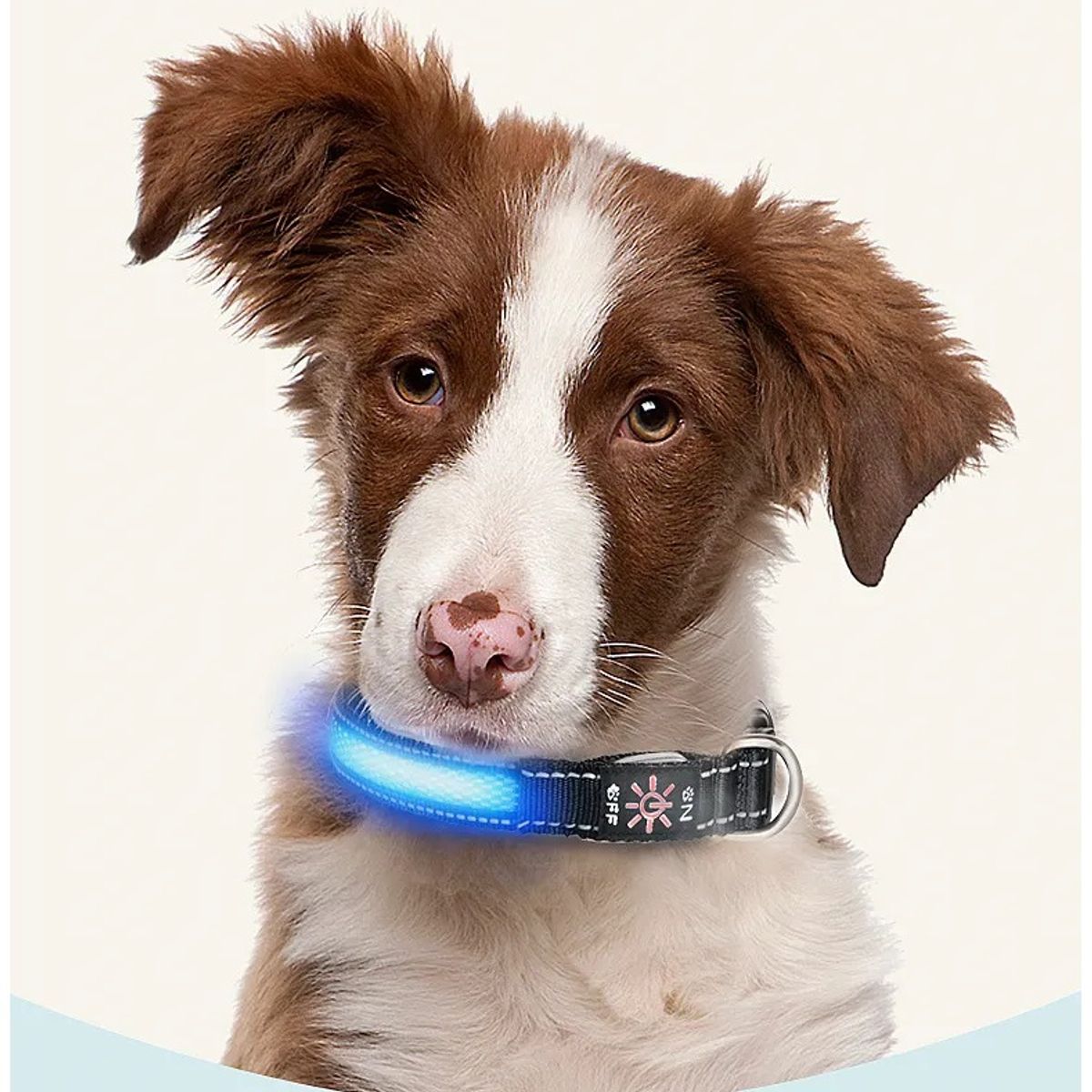 GENERICO - Collar Luz LED 3 modos Luz carga USB  Perros Gatos Talla S 250mAh 6 Horas de Uso 40cm