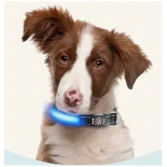 GENERICO - Collar Luz LED 3 modos Luz carga USB Perros Gatos Talla S