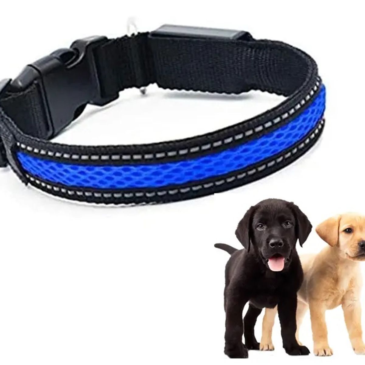GENERICO - Collar Luz LED 3 modos Luz carga USB  Perros Gatos Talla S 250mAh 6 Horas de Uso 40cm