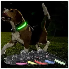 GENERICO - Collar Luz LED 3 modos Luz carga USB Perros Gatos Talla S