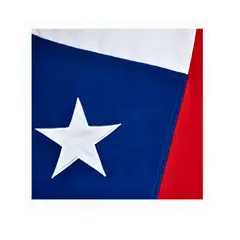 GENERICO - Bandera Chilena de 140x210 calidad superior con la Estrella Bordada…