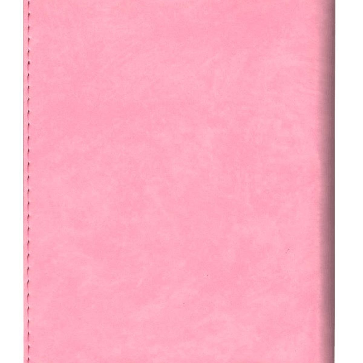 SOCIEDAD BIBLICA DE BRASIL - Biblia Reina Valera 1960 edición quinceañera