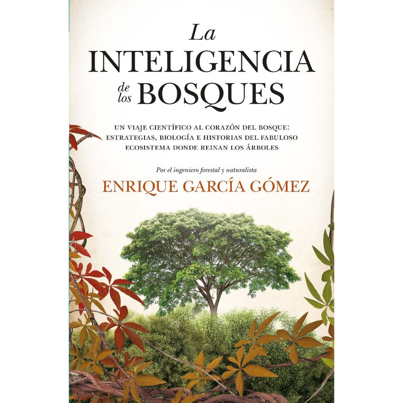 RETAILEXPRESS - La Inteligencia De Los Bosques