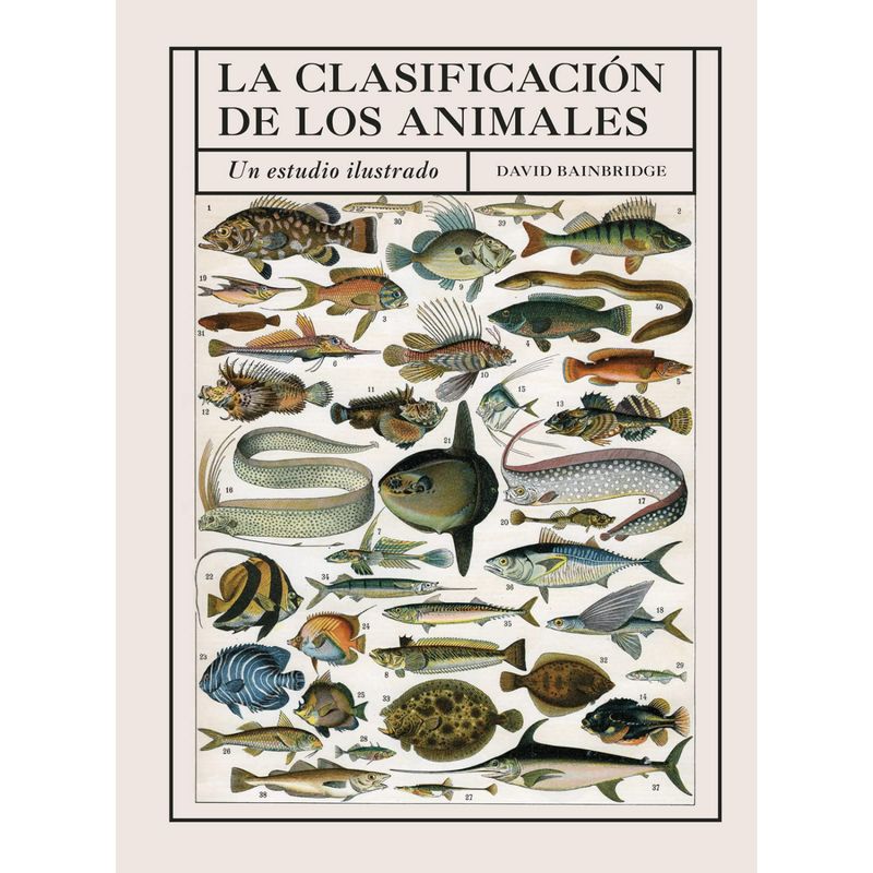 RETAILEXPRESS - La Clasificación De Los Animales