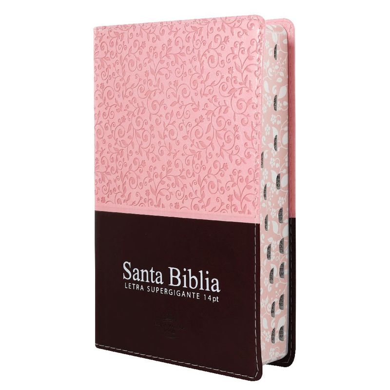 SOCIEDAD BIBLICA DE BRASIL - Reina Valera Letra Gigante Indice Cierre