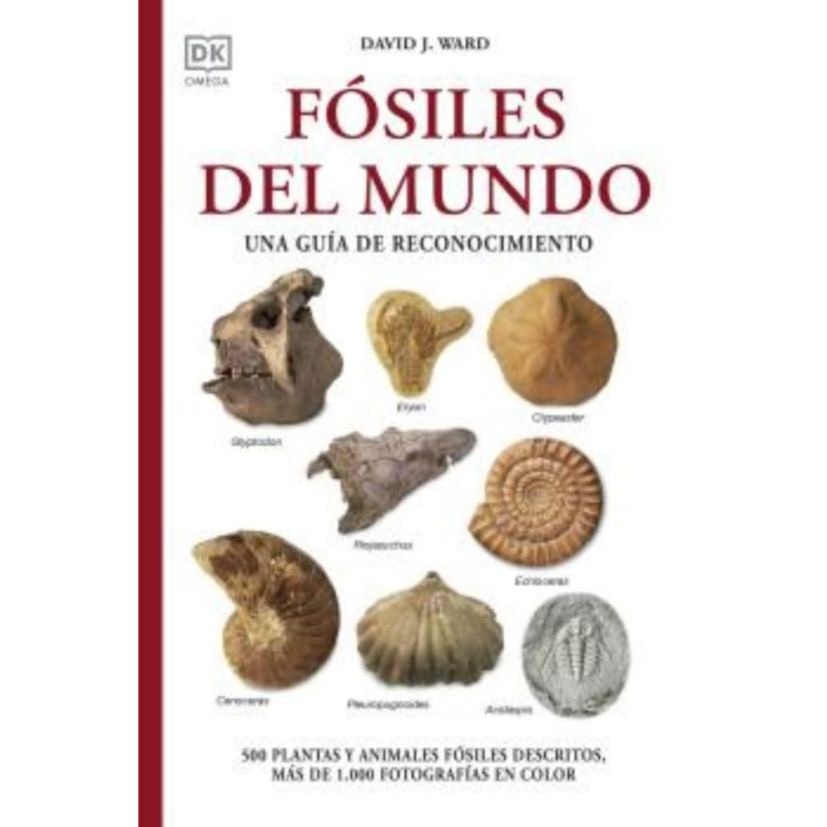 RETAILEXPRESS - Fósiles Del Mundo - Autor(a):  David J. Ward