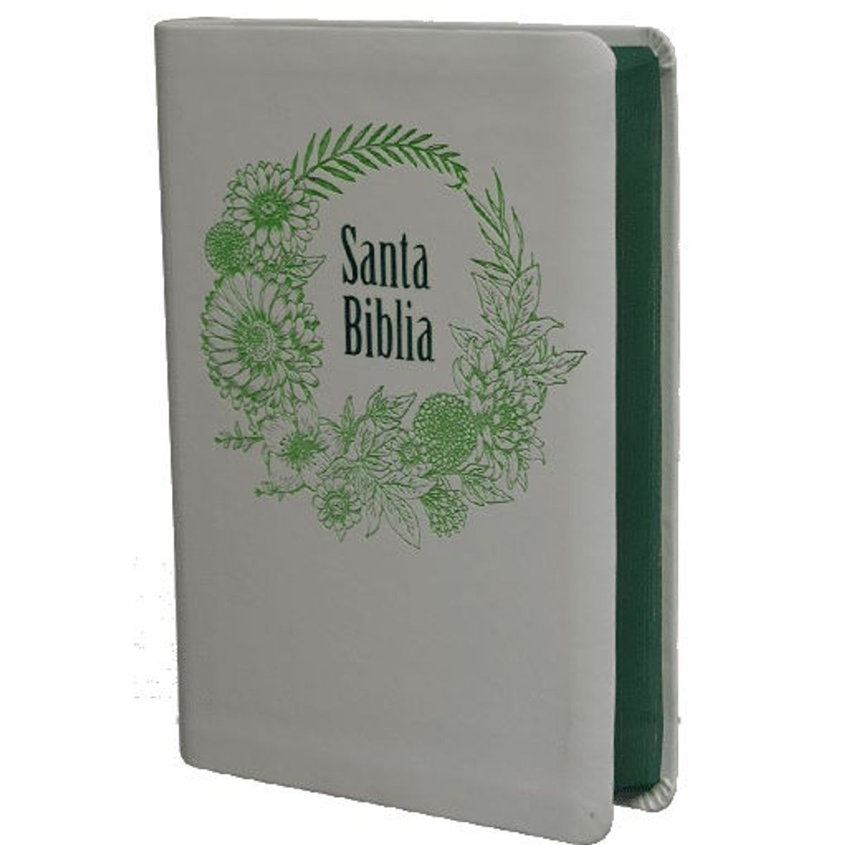 SOCIEDADES BIBLICAS UNIDAS - Biblia Letra Grande Reina Valera 60 Concordancia blanco verde