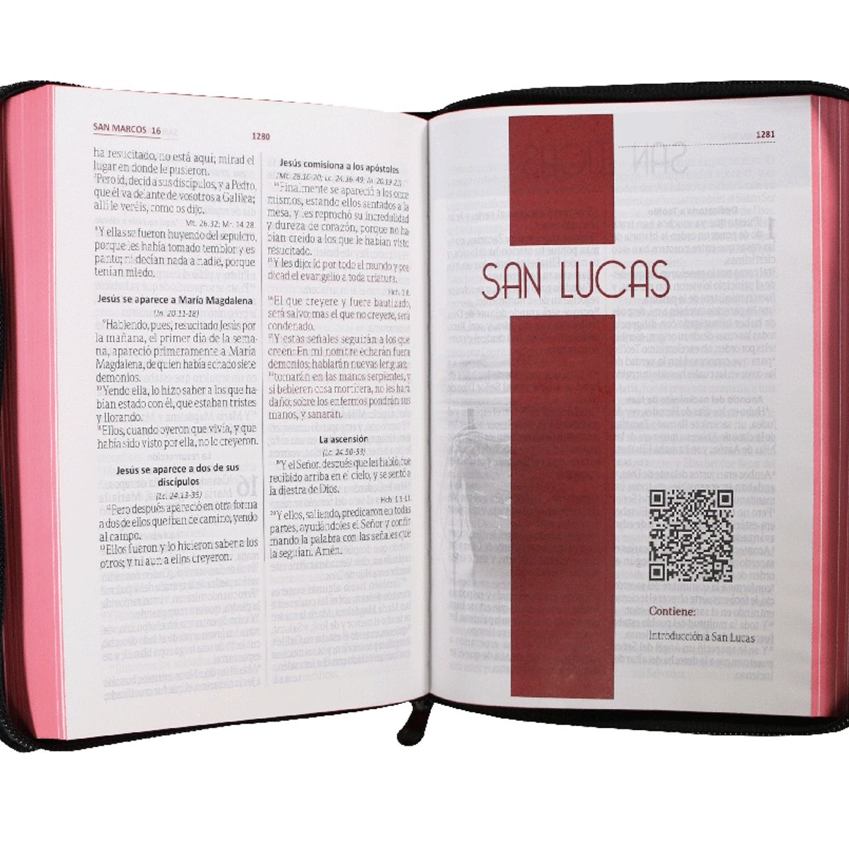 SOCIEDADES BIBLICAS UNIDAS - Reina Valera 1960 Letra Grande Cierre