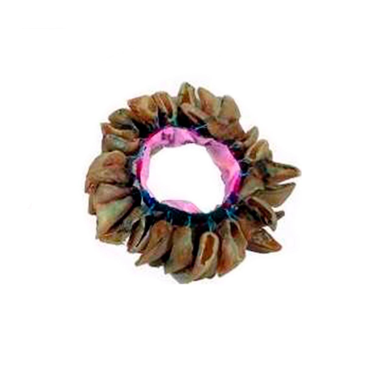 CASTELLON - INSTRUMENTO MAPUCHE CASTELLON CASCAHUILLAS