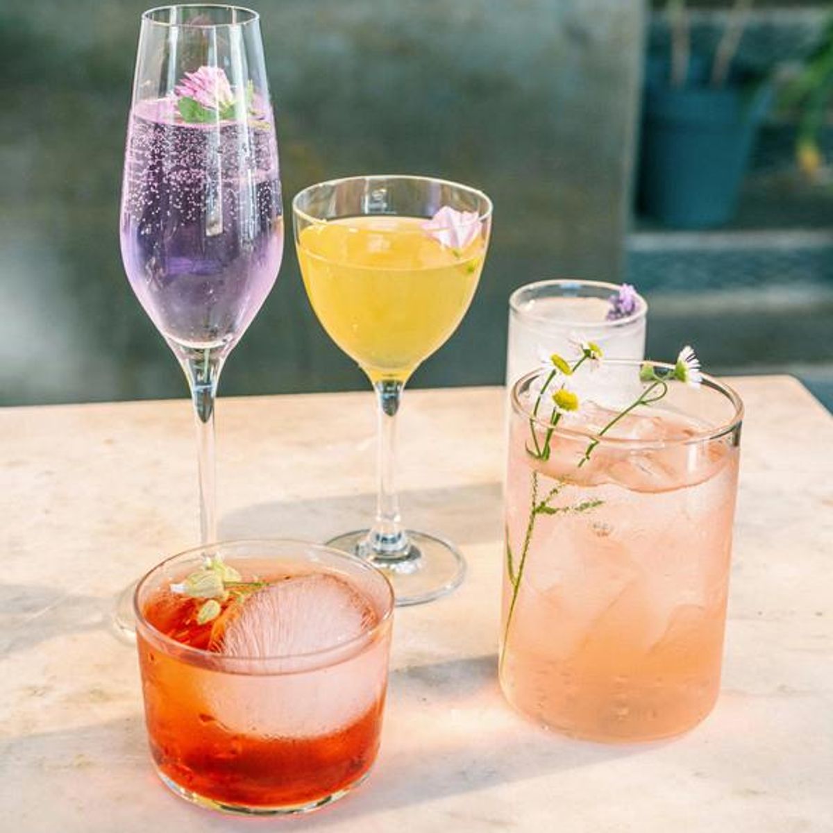 GENERICO - Destilado Trakal 700ml  - El espíritu de Patagonia