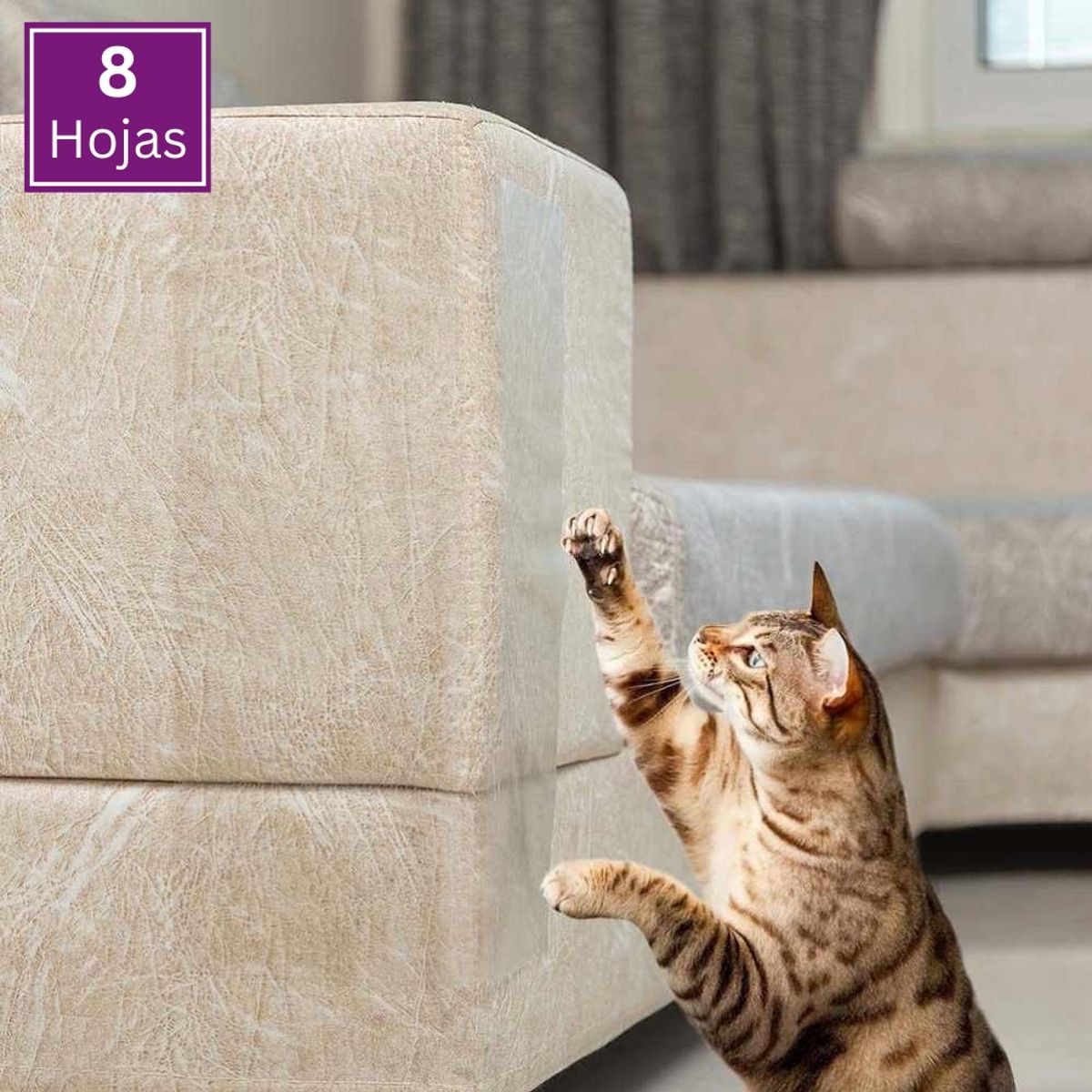 GENERICO - Protector Muebles Cinta Antiarañazos Gato 8 hojas