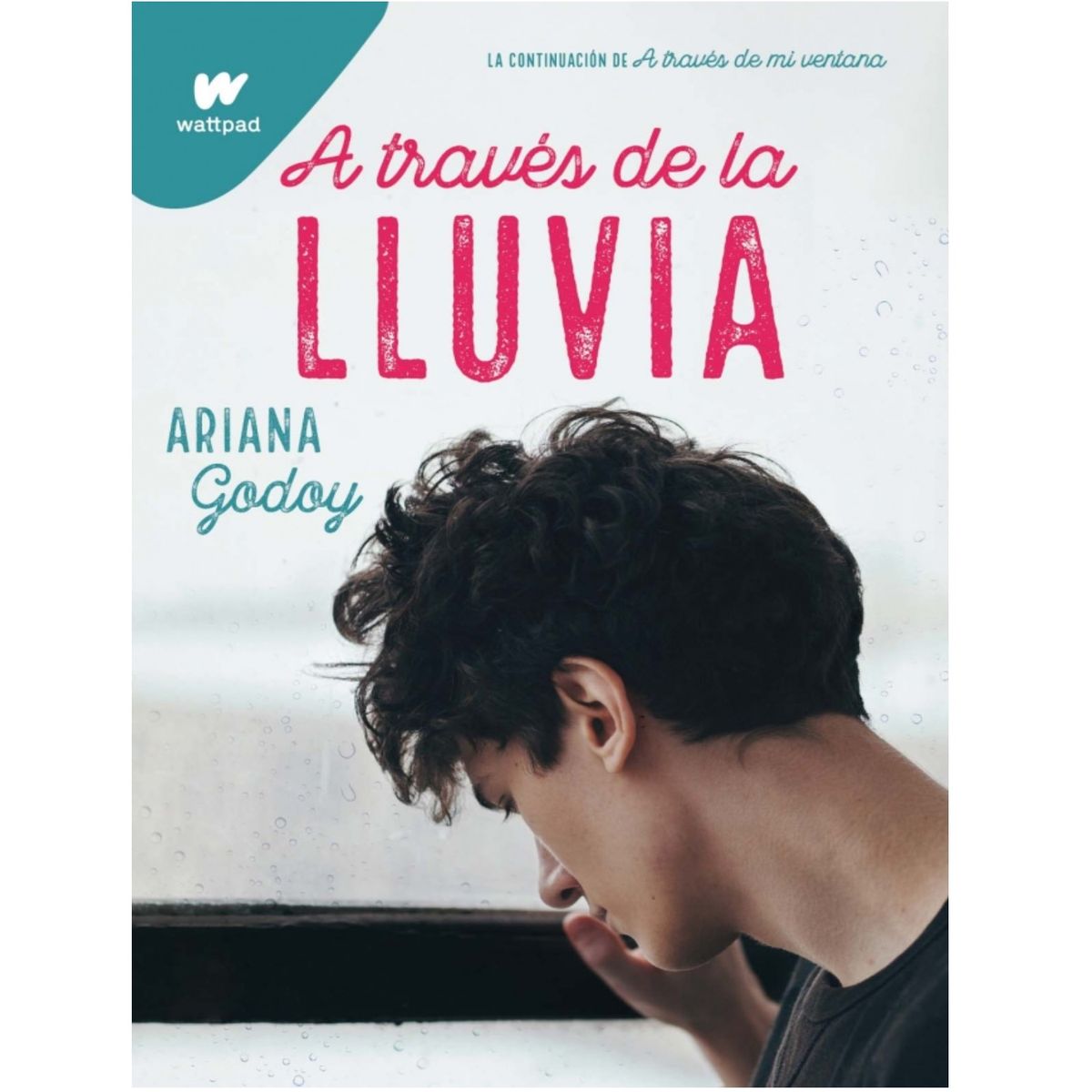 PENGUIN RANDOM HOUSE - LIBRO A TRAVES DE LA LLUVIA
