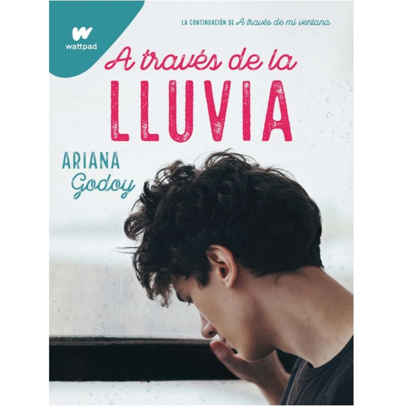 PENGUIN RANDOM HOUSE - LIBRO A TRAVES DE LA LLUVIA