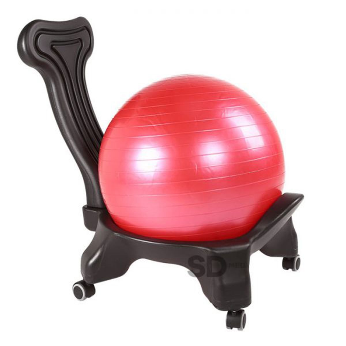 SDFIT - Silla ruedas con balón de pilates 70 cm…