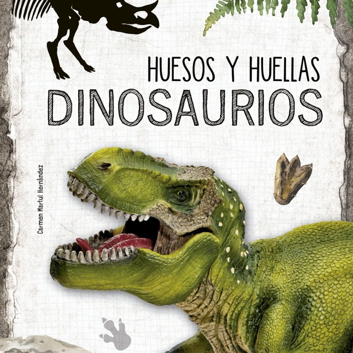 TOP10BOOKS - LIBRO Huesos Y Huellas Dinosaurios - Huesos Y Huellas Dinosaurios