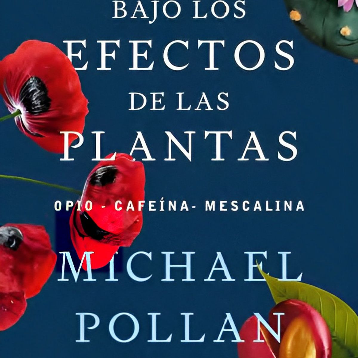TOP10BOOKS - LIBRO Tu Mente Bajo Los Efectos De Las Plantas