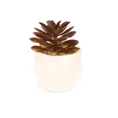 HOMEWELL - Cactus artificial 9cm