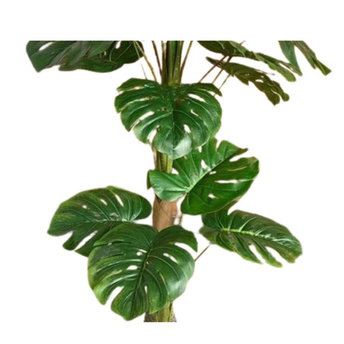 MOBII - Planta Artificial Tipo Monstera. Altura: 110Cm