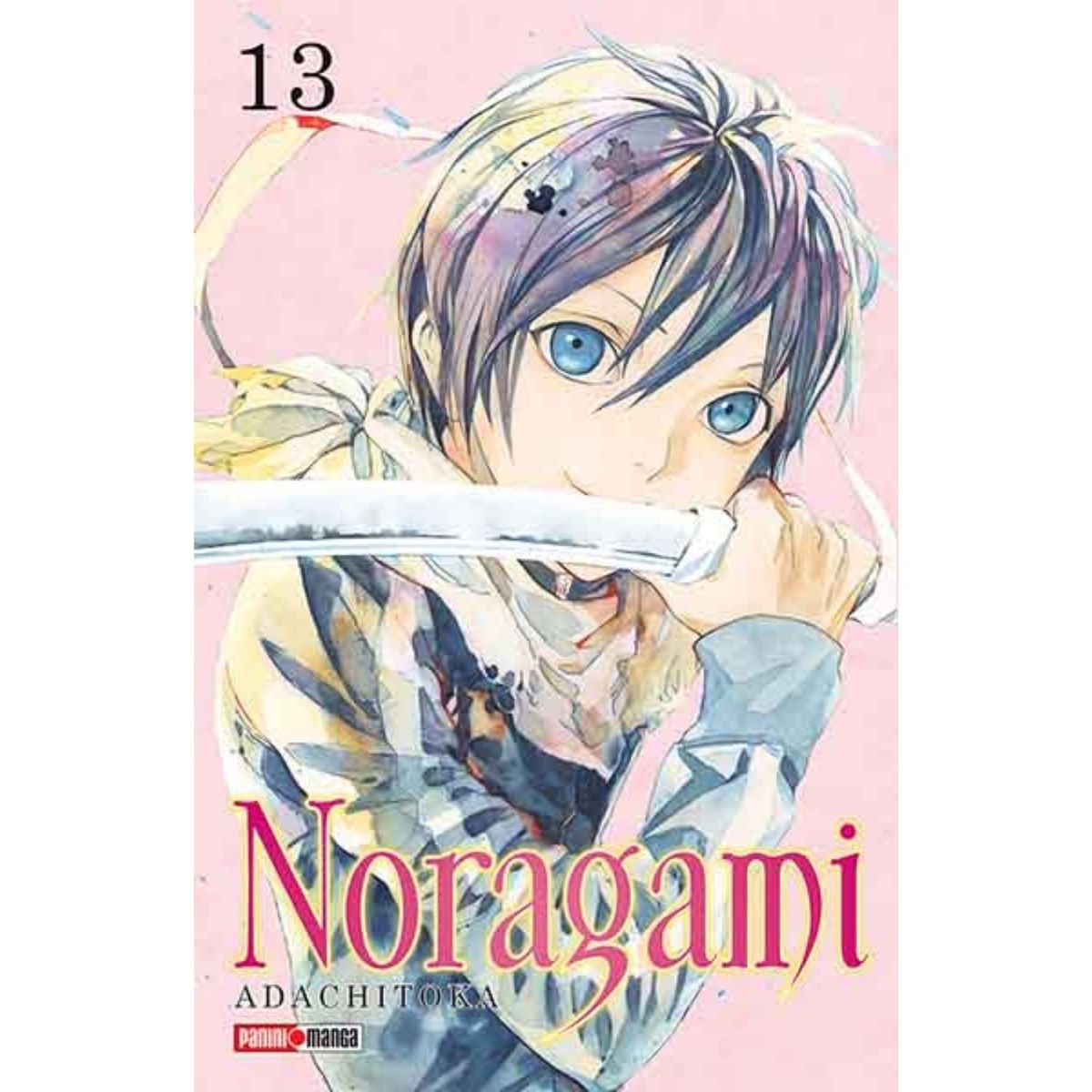 PANINI - Noragami N.13