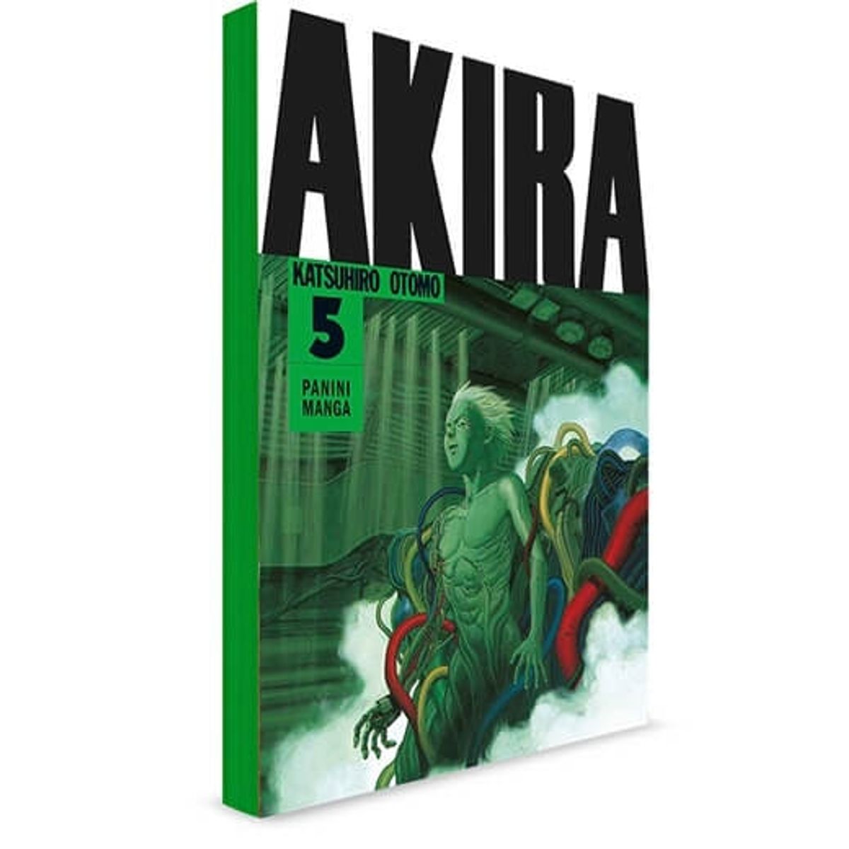 PANINI - AKIRA N°5