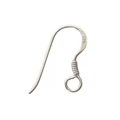 GENERICO - Ganchos De Plata 925 Para Aros 10 Pares (20 Unidades)