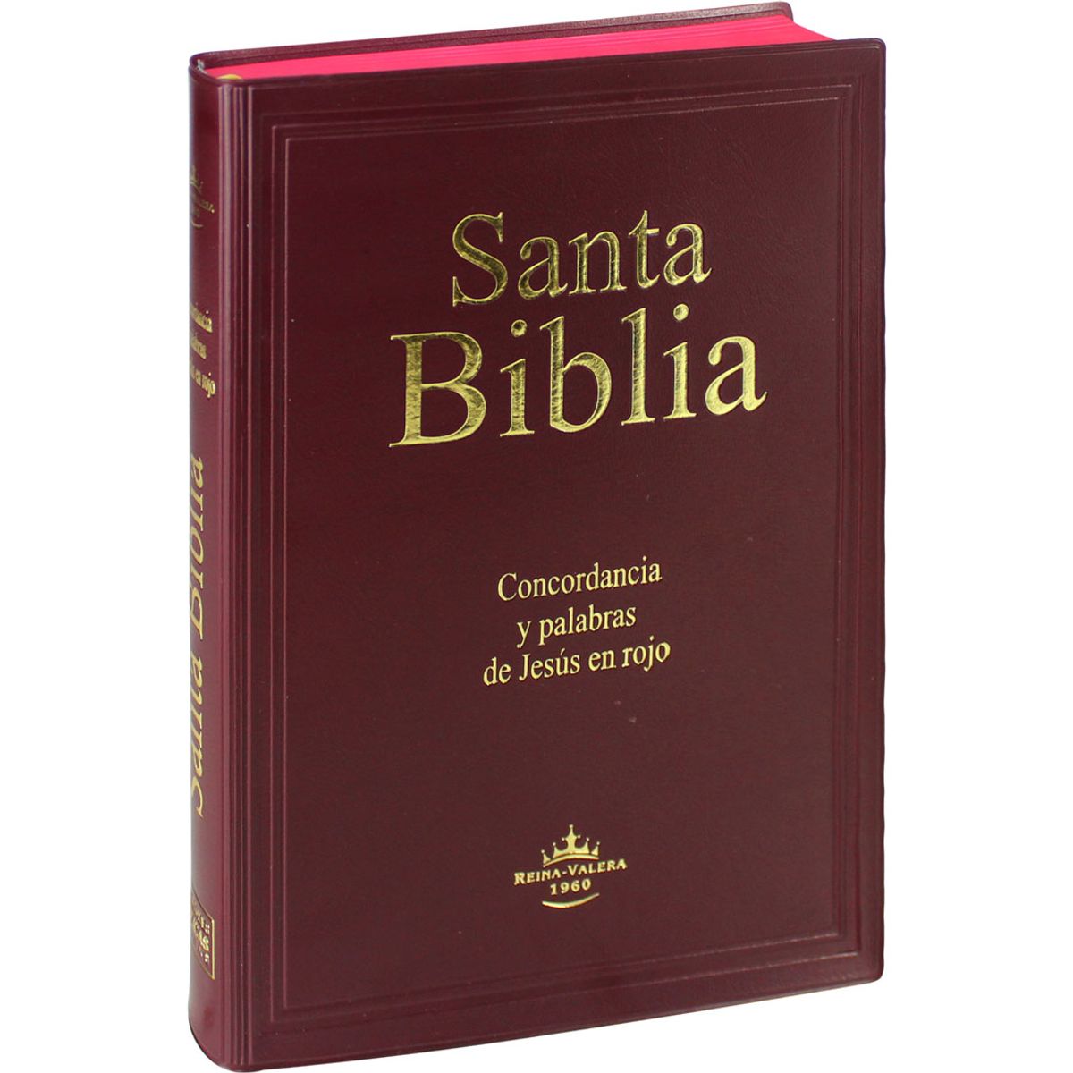 SOCIEDAD BIBLICA DE BRASIL - Biblia Reina Valera 1960, letra gigante 14 puntos, concordancia PJR vinil vino
