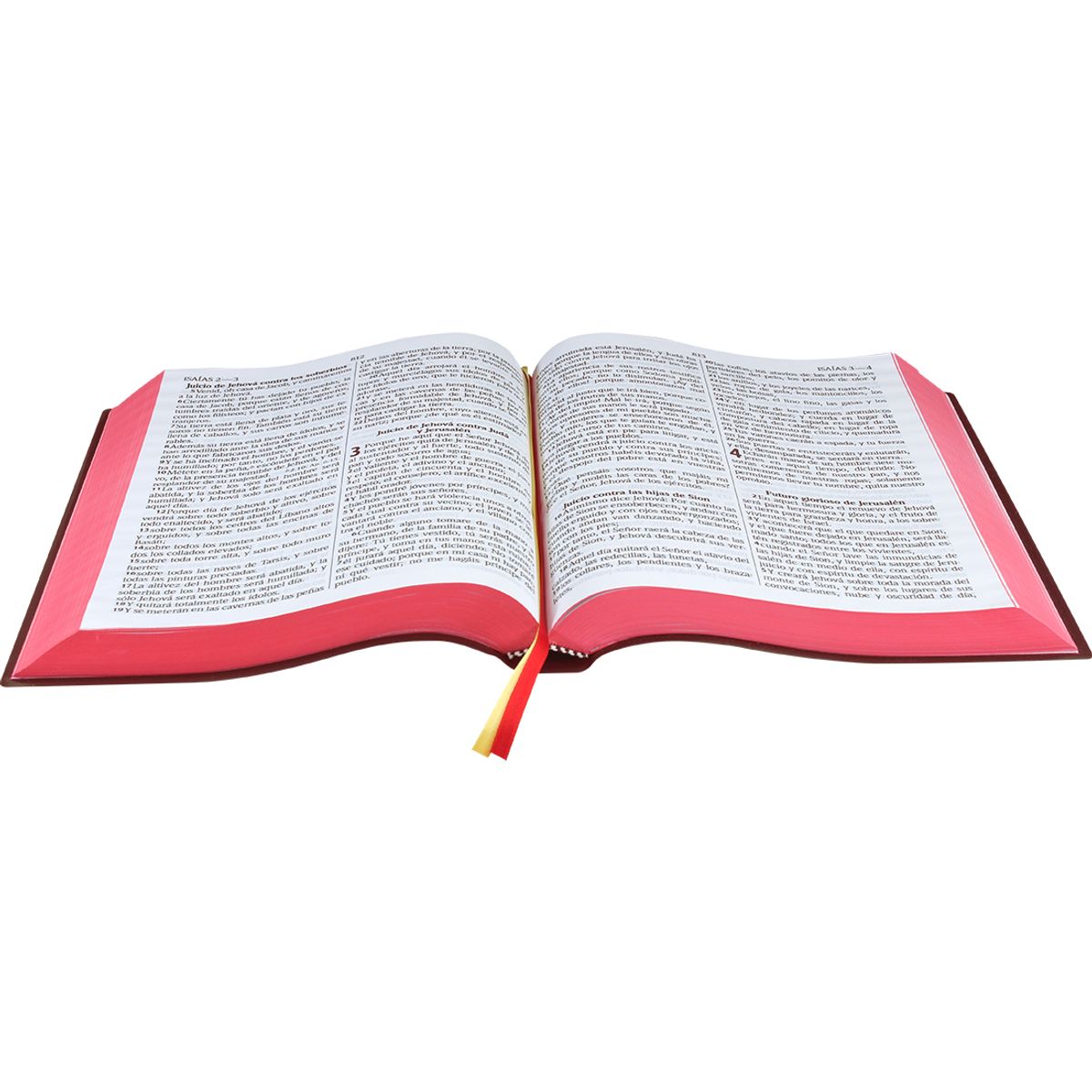 SOCIEDAD BIBLICA DE BRASIL - Biblia Reina Valera 1960, letra gigante 14 puntos, concordancia PJR vinil vino