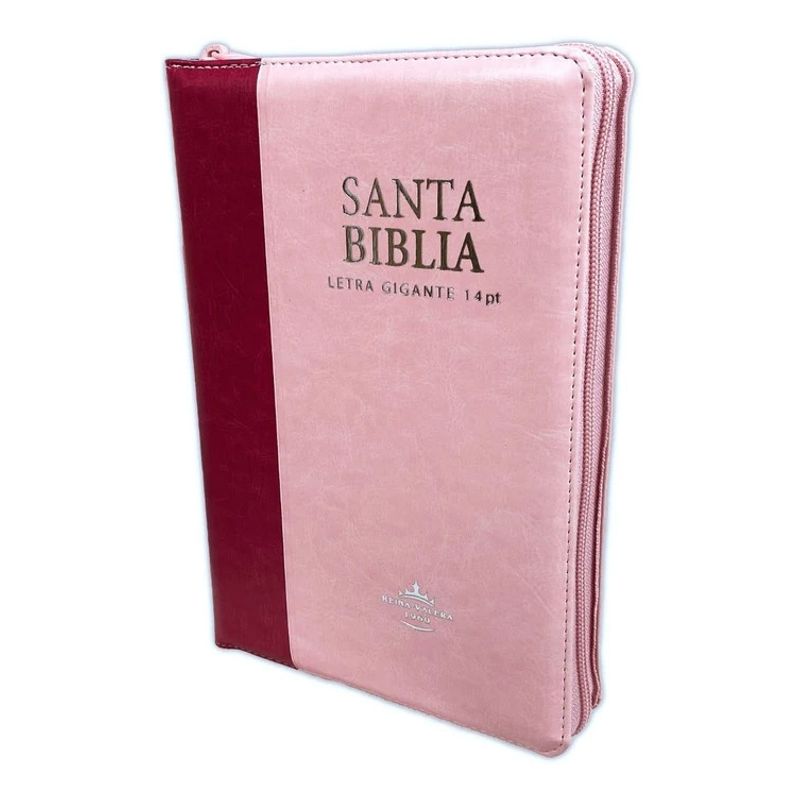 SOCIEDAD BIBLICA DE BRASIL - Biblia Letra Gigante Reina Valera 1960 Concordancia Cierre femenina