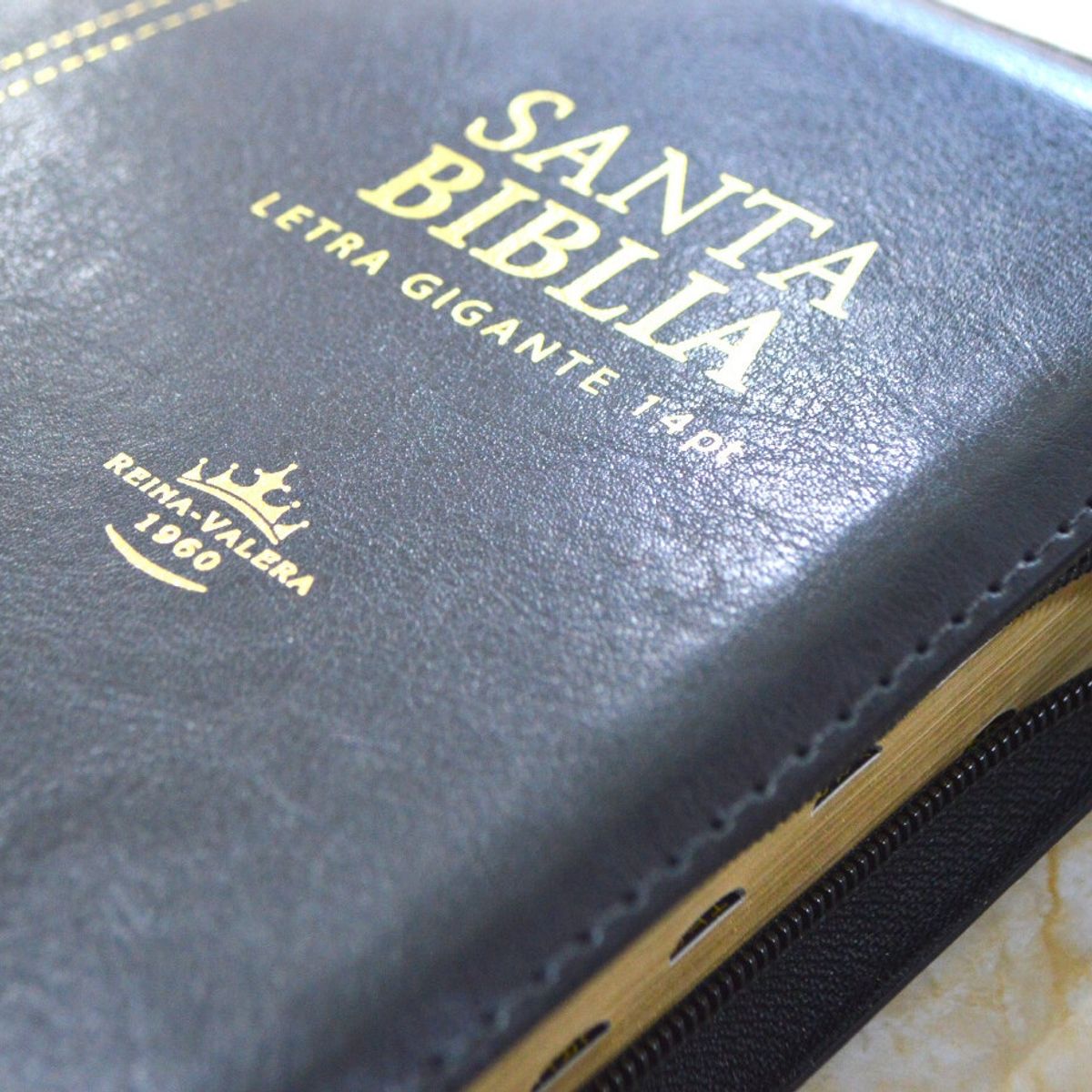 SOCIEDAD BIBLICA DE BRASIL - Biblia Letra Gigante Reina Valera 1960 Concordancia Cierre