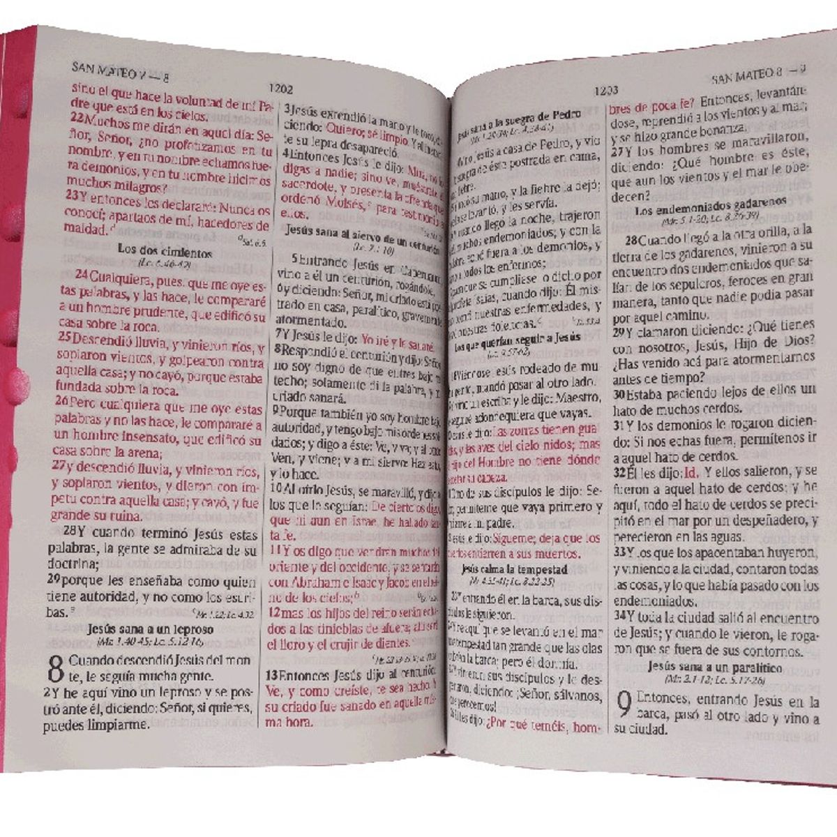 SOCIEDAD BIBLICA DE BRASIL - Reina Valera 1960 con índice y concordancia