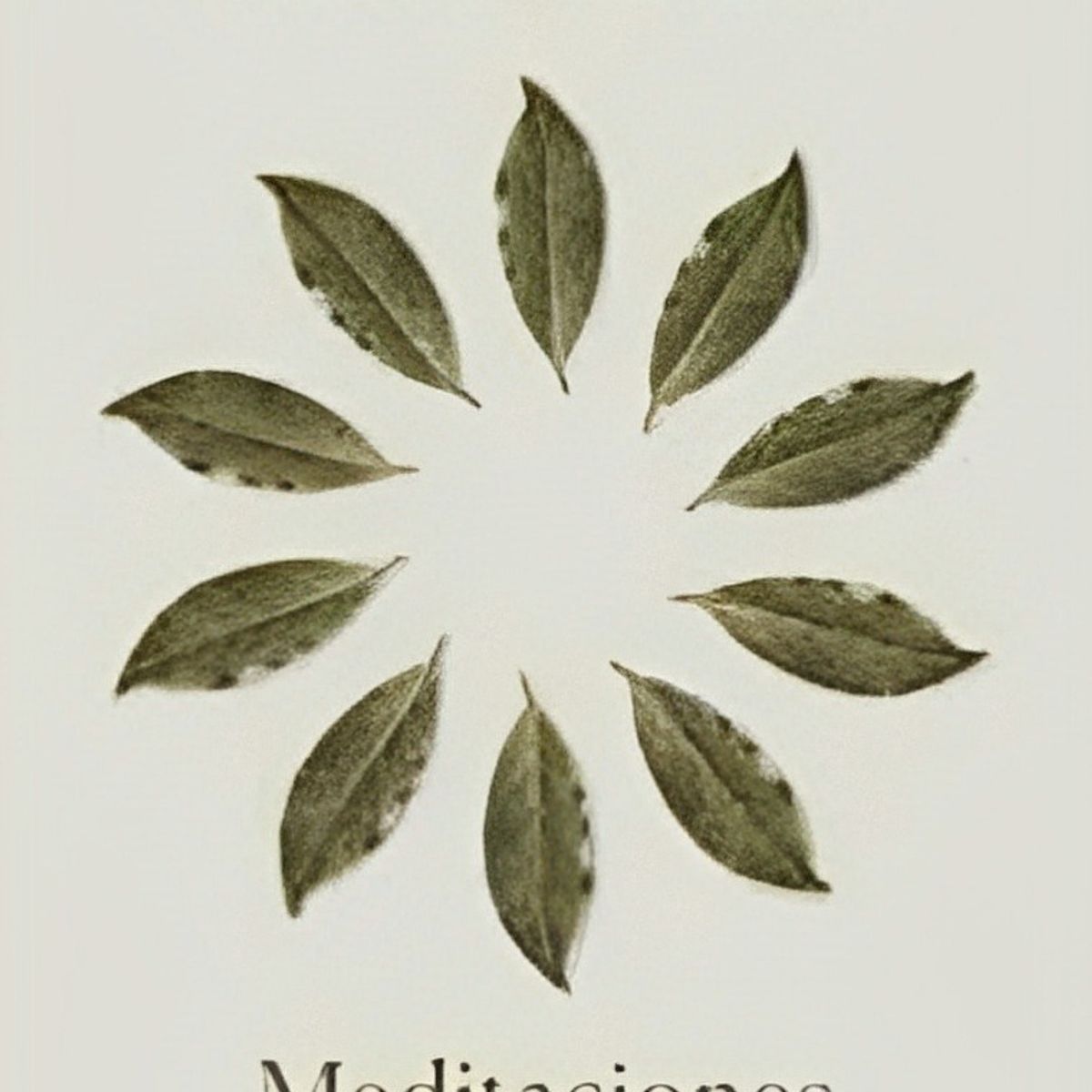 TOP10BOOKS - LIBRO Meditaciones - Meditaciones