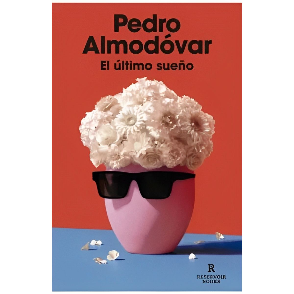 TOP10BOOKS - LIBRO El Ultimo Sueño - El Ultimo Sueño