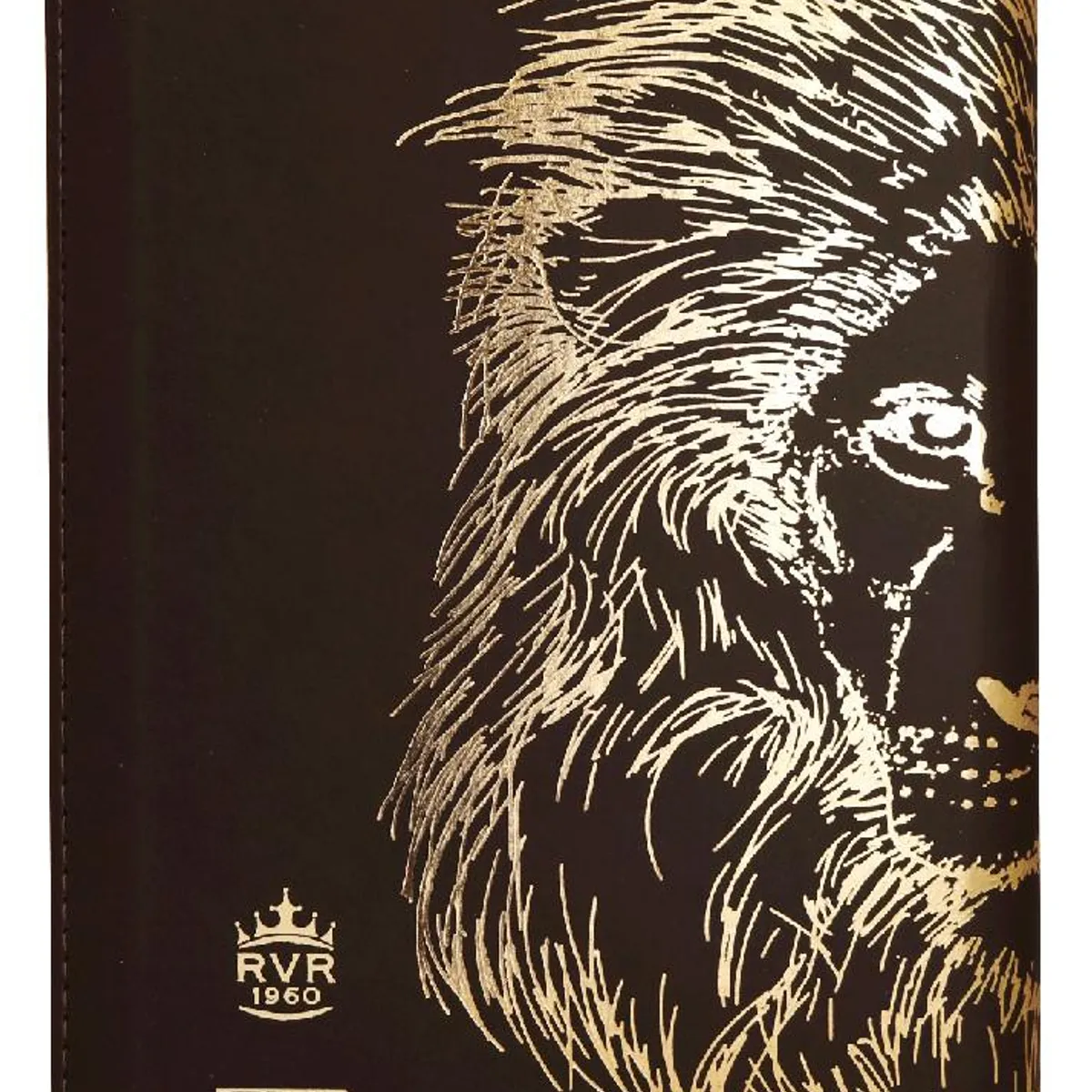 SOCIEDAD BIBLICA CHILENA - Biblia Reina Valera 1960 Letra Grande León Cierre Indice