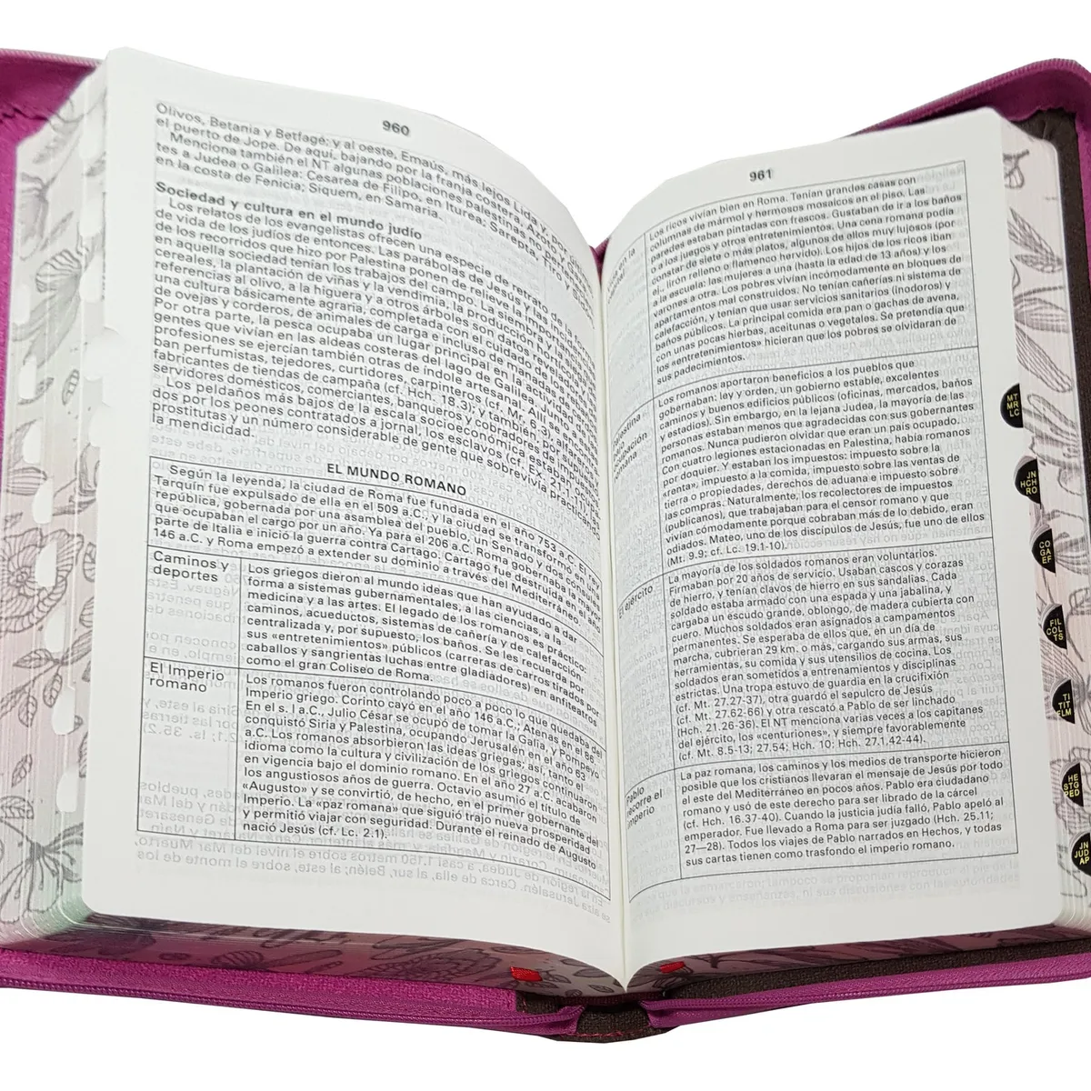 SOCIEDADES BIBLICAS UNIDAS - Biblia Reina Valera 1960 Concordancia Cierre Índice Rosa Marrón