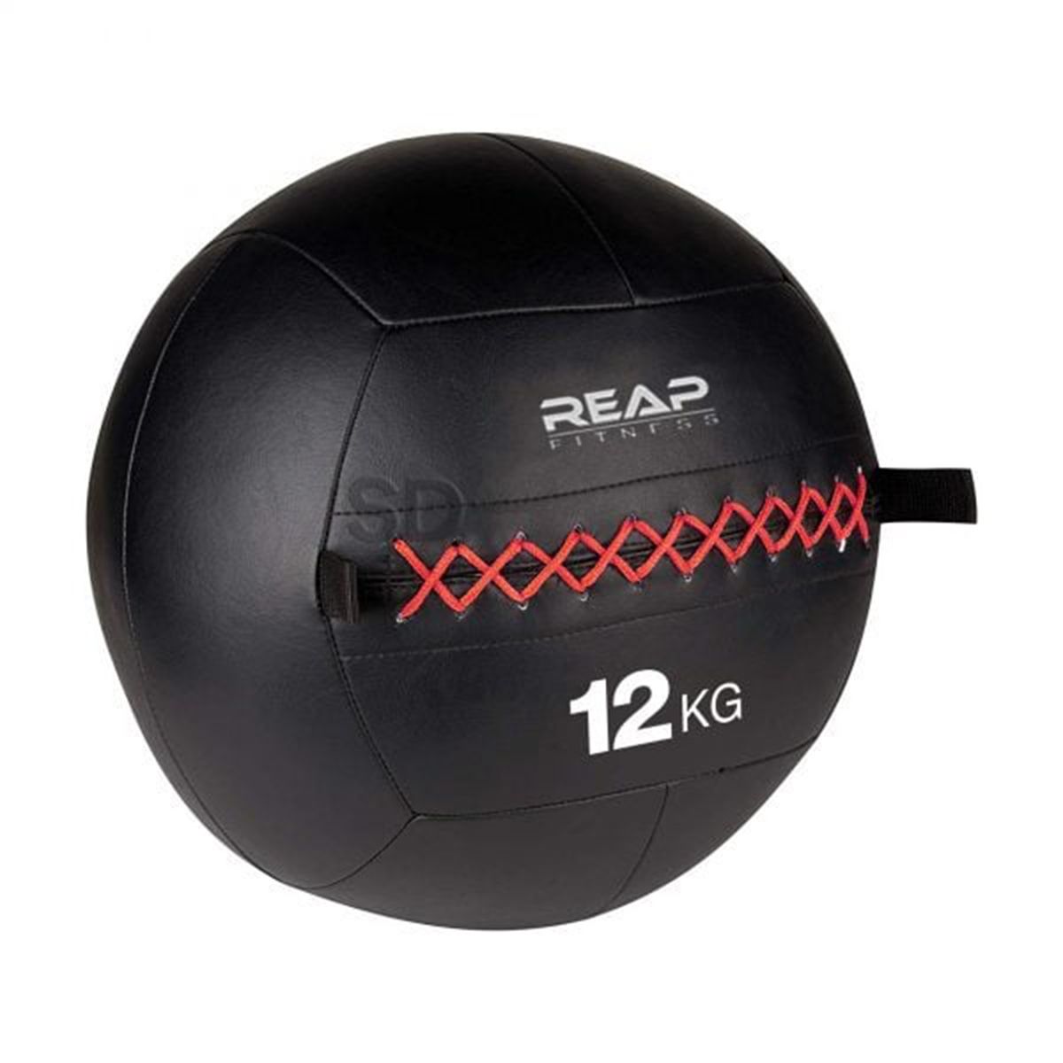 SDFIT - Wall Ball Reap fitness balón medicinal 12 KG…