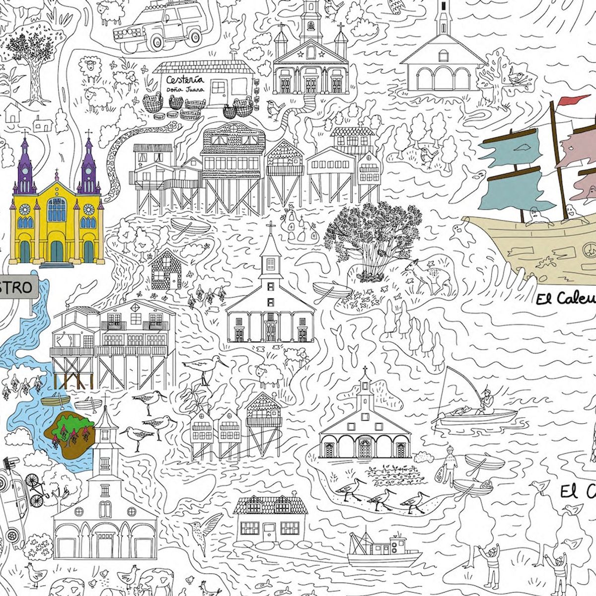 PEZGLOBO - PONLE COLOR A CHILOE