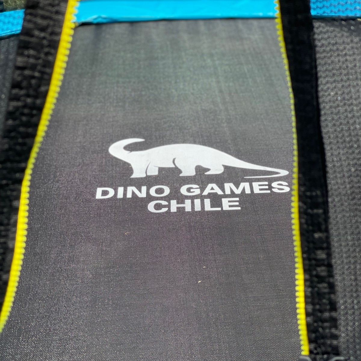 DINO CARS CHILE - CAMA ELASTICA DE 2,44 MTS DE DIAMETRO CON RED LATERAL + ESCALERA (VERDE)