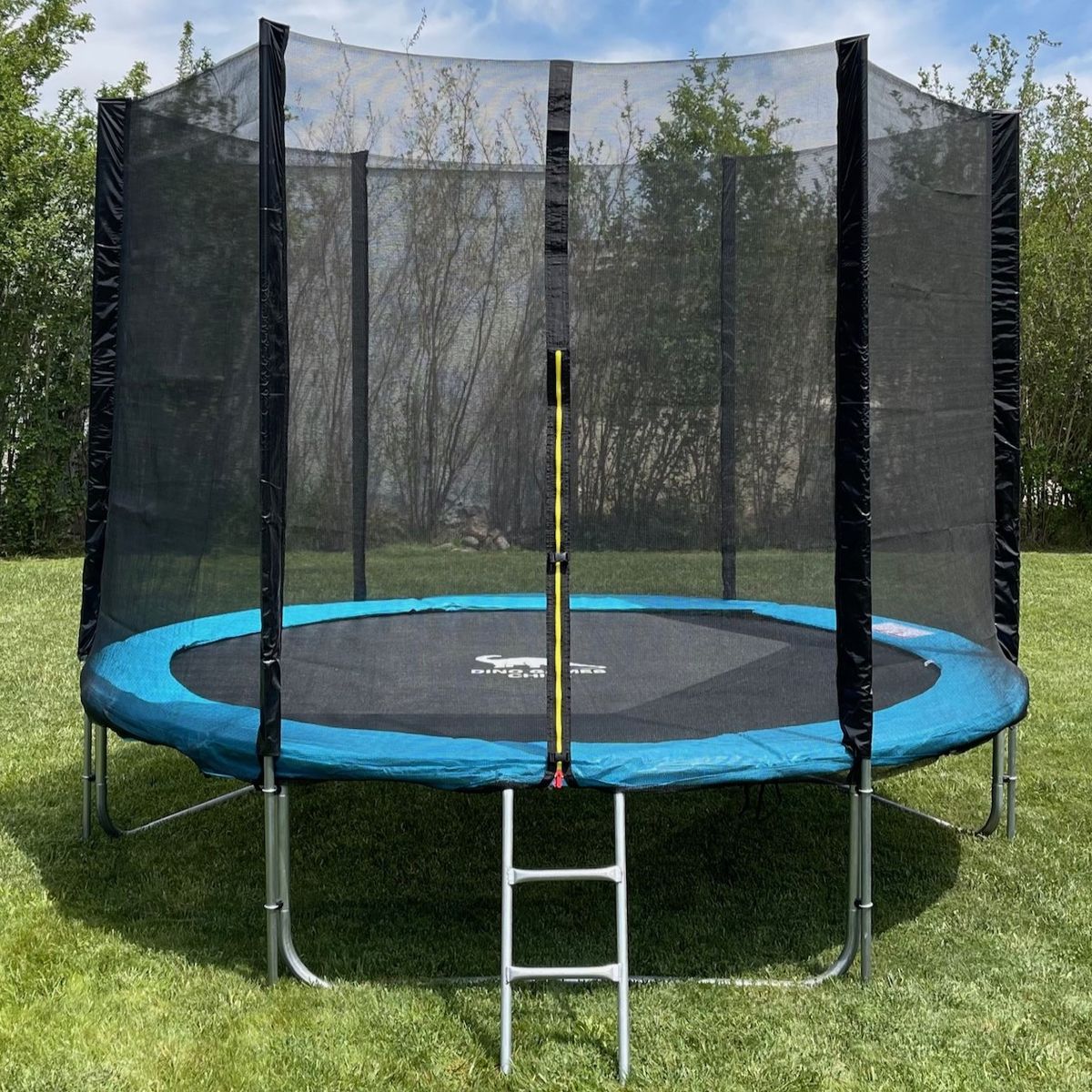 DINO CARS CHILE - CAMA ELASTICA DE 3,05 MTS DE DIAMETRO CON RED LATERAL + ESCALERA (VERDE)