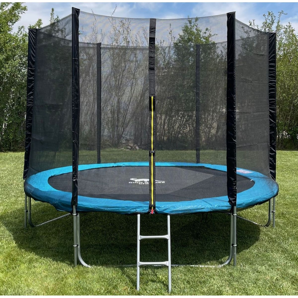 DINO CARS CHILE - CAMA ELASTICA DE 3,05 MTS DE DIAMETRO CON RED LATERAL + ESCALERA (VERDE)