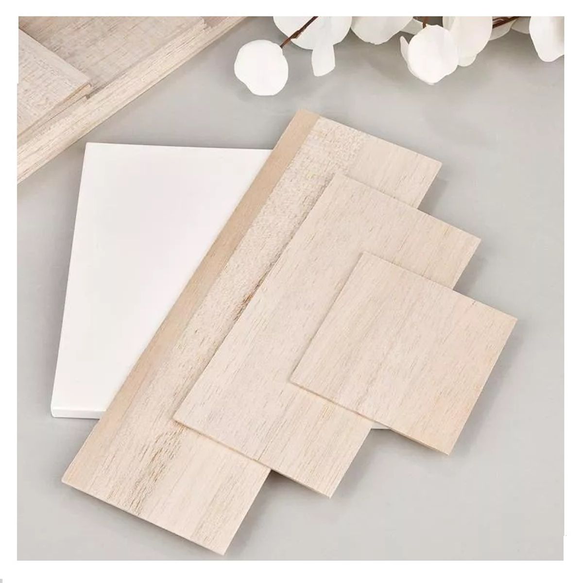 GENERICO - Madera De Balsa 600 X 100 X 2mm 3un…