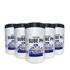 DIDEVAL - Kit Piscina Sube Ph 5 Kg