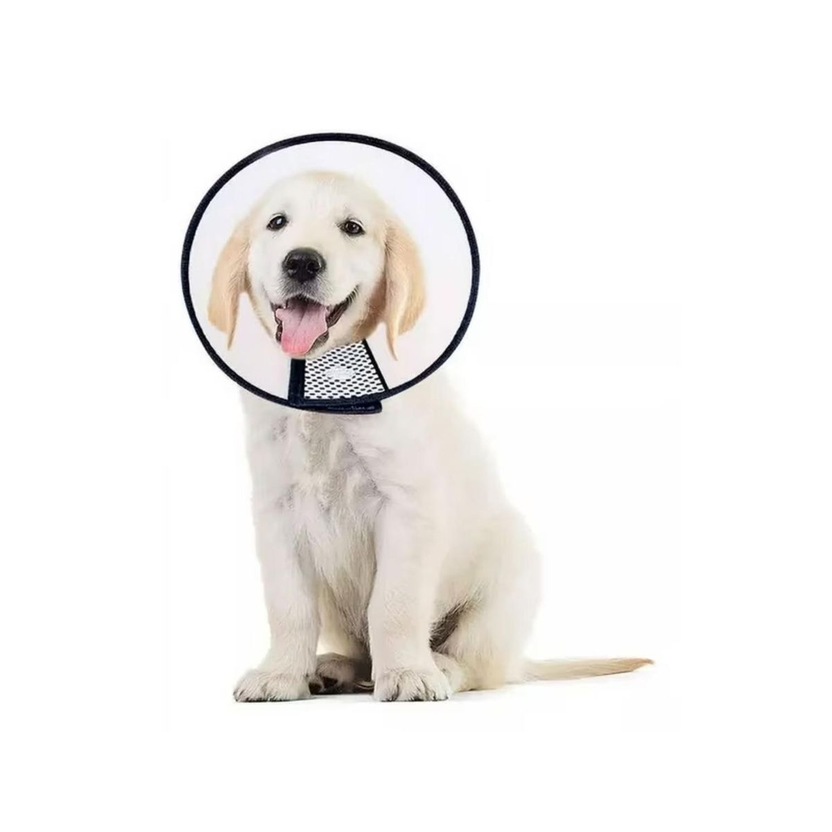 GENERICO - Collar Isabelino Para Mascotas Perros Y Gatos - Talla L